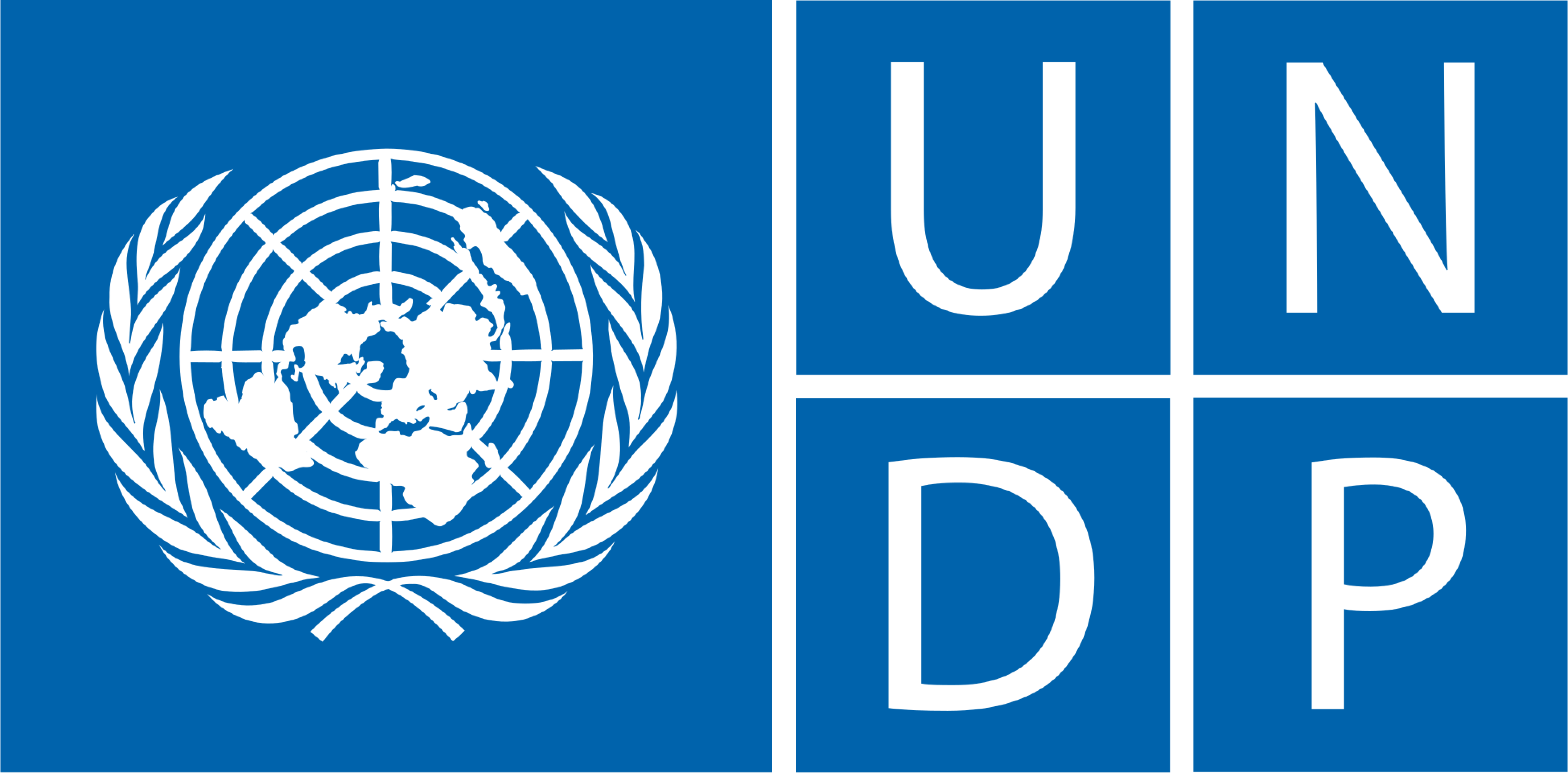 UNDP logo - United Nations Development Programme partner